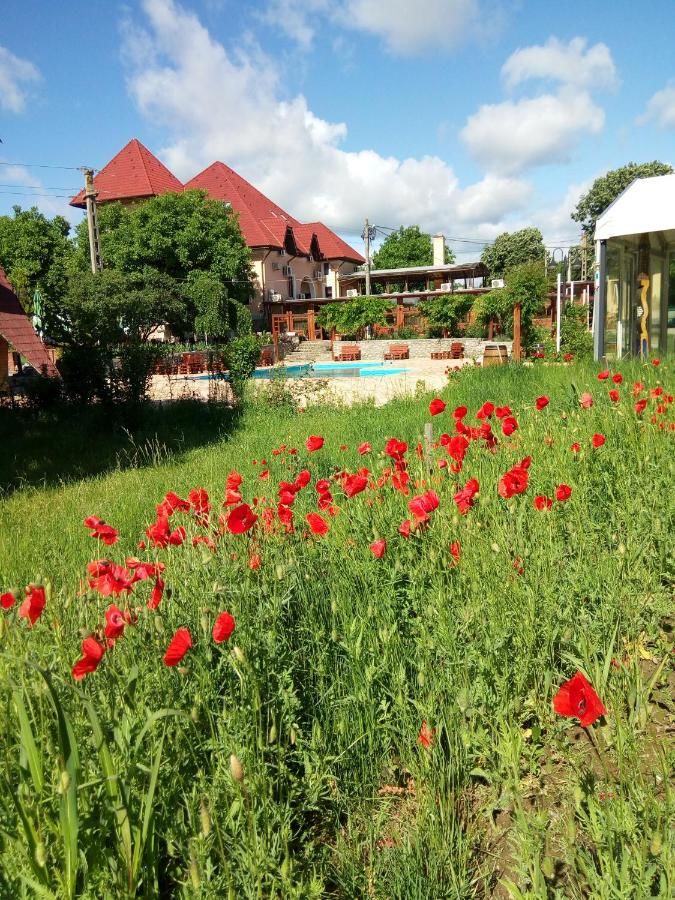 Гостевой дом Boutique Hotel Danielescu Тыргу-Жиу-21