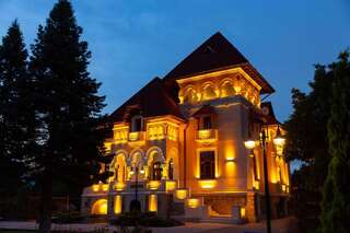 Гостевой дом Boutique Hotel Danielescu Тыргу-Жиу-0